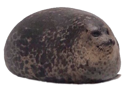 Шар